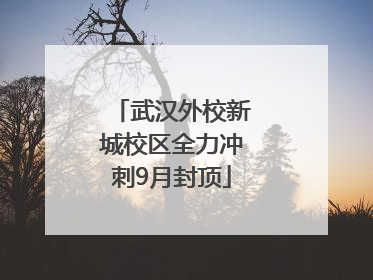 武汉外校新城校区全力冲刺9月封顶