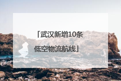 武汉新增10条低空物流航线
