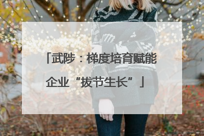 武陟：梯度培育赋能企业“拔节生长”