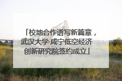 校地合作谱写新篇章，武汉大学·咸宁低空经济创新研究院签约成立