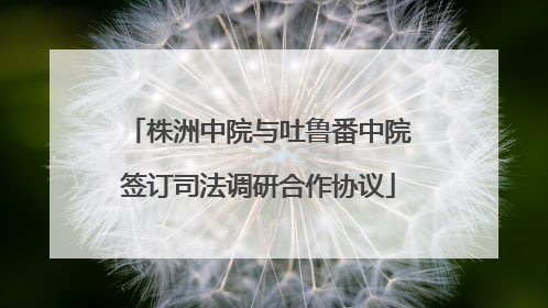 株洲中院与吐鲁番中院签订司法调研合作协议