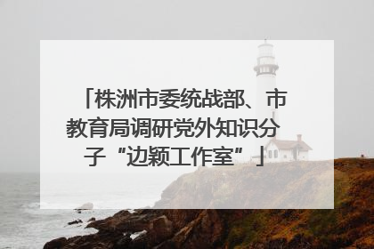 株洲市委统战部、市教育局调研党外知识分子“边颖工作室”