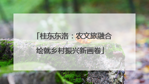 桂东东洛：农文旅融合绘就乡村振兴新画卷