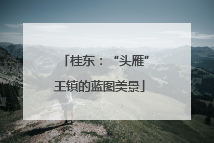 桂东：“头雁”王镇的蓝图美景