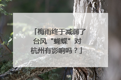 梅雨终于减弱了 台风“蝴蝶”对杭州有影响吗？