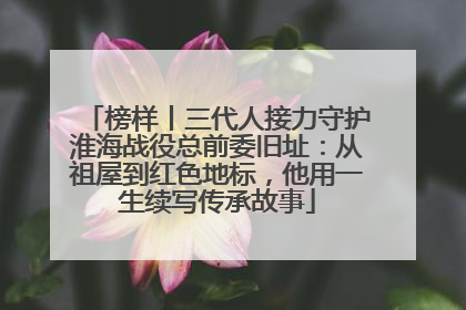 榜样丨三代人接力守护淮海战役总前委旧址：从祖屋到红色地标，他用一生续写传承故事