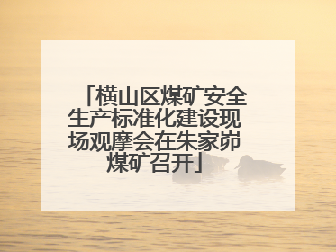横山区煤矿安全生产标准化建设现场观摩会在朱家峁煤矿召开