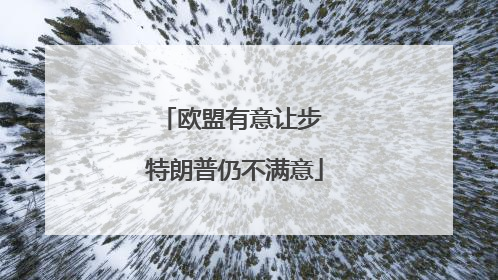 欧盟有意让步 特朗普仍不满意