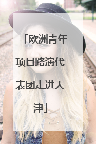 欧洲青年项目路演代表团走进天津