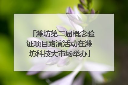 潍坊第二届概念验证项目路演活动在潍坊科技大市场举办