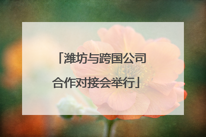 潍坊与跨国公司合作对接会举行