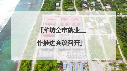 潍坊全市就业工作推进会议召开