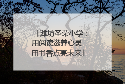 潍坊圣荣小学：用阅读滋养心灵 用书香点亮未来