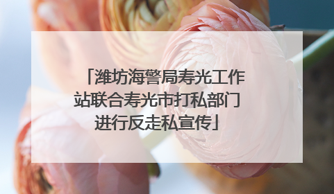 潍坊海警局寿光工作站联合寿光市打私部门进行反走私宣传
