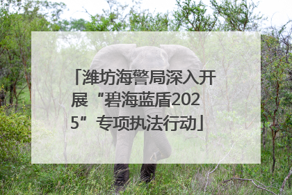 潍坊海警局深入开展“碧海蓝盾2025”专项执法行动