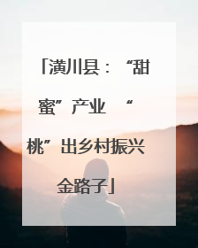 潢川县：“甜蜜”产业  “桃”出乡村振兴金路子