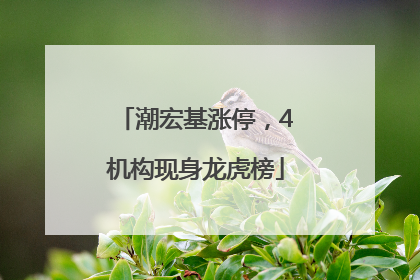 潮宏基涨停，4机构现身龙虎榜