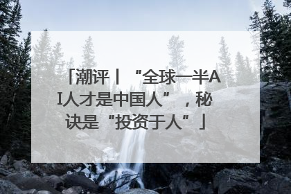 潮评丨“全球一半AI人才是中国人”，秘诀是“投资于人”