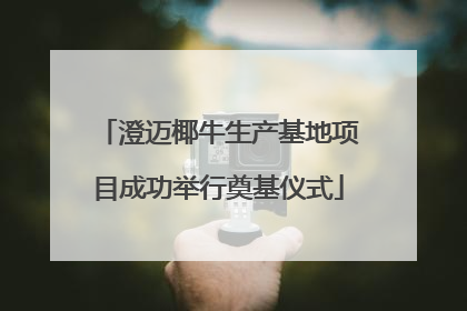 澄迈椰牛生产基地项目成功举行奠基仪式