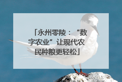 永州零陵：“数字农业”让现代农民种粮更轻松