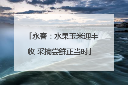 永春：水果玉米迎丰收 采摘尝鲜正当时