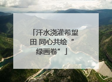 汗水浇灌希望田 同心共绘“绿画卷”