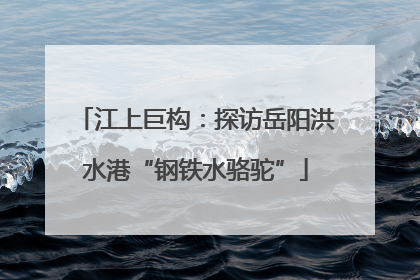 江上巨构：探访岳阳洪水港“钢铁水骆驼”