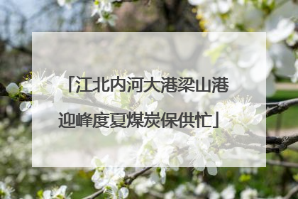 江北内河大港梁山港迎峰度夏煤炭保供忙