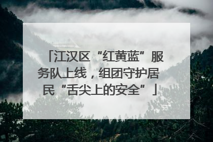江汉区“红黄蓝”服务队上线，组团守护居民“舌尖上的安全”