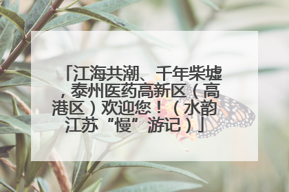 江海共潮、千年柴墟，泰州医药高新区（高港区）欢迎您！（水韵江苏“慢”游记）