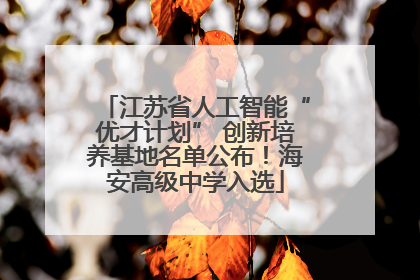 江苏省人工智能“优才计划” 创新培养基地名单公布！海安高级中学入选