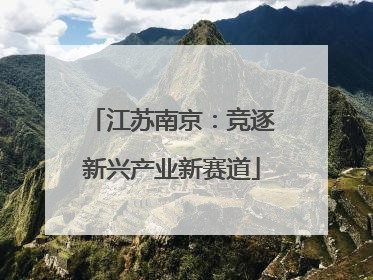 江苏南京：竞逐新兴产业新赛道
