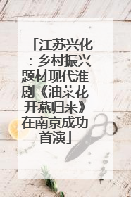 江苏兴化：乡村振兴题材现代淮剧《油菜花开燕归来》在南京成功首演