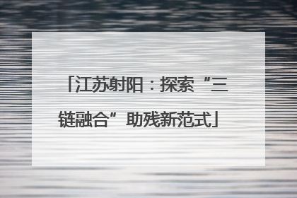 江苏射阳：探索“三链融合”助残新范式