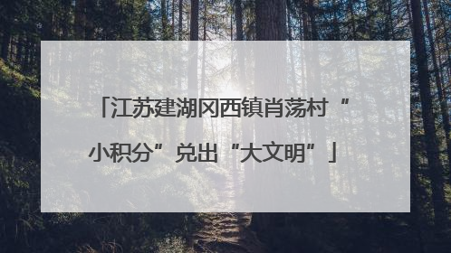 江苏建湖冈西镇肖荡村“小积分”兑出“大文明”