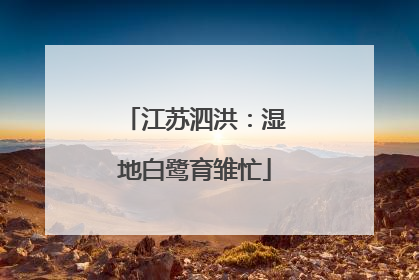 江苏泗洪：湿地白鹭育雏忙