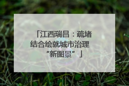 江西瑞昌：疏堵结合绘就城市治理“新图景”