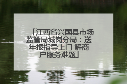 江西省兴国县市场监管局城岗分局：送年报指导上门 解商户服务难题