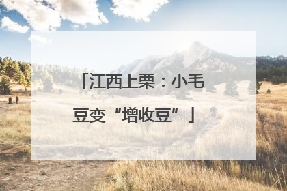 江西上栗：小毛豆变“增收豆”