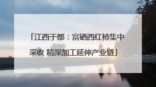 江西于都：富硒西红柿集中采收 精深加工延伸产业链