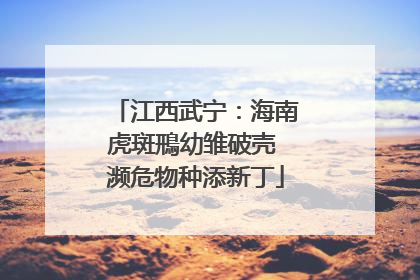 江西武宁：海南虎斑鳽幼雏破壳 濒危物种添新丁