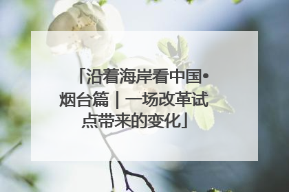 沿着海岸看中国•烟台篇｜一场改革试点带来的变化