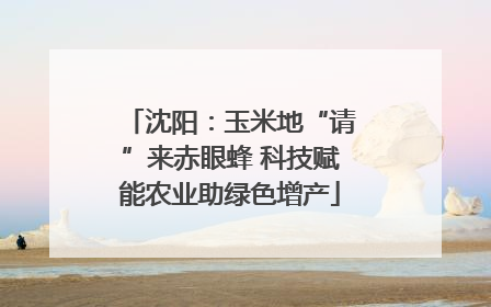 沈阳：玉米地“请”来赤眼蜂 科技赋能农业助绿色增产