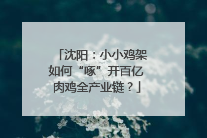沈阳：小小鸡架如何“啄”开百亿肉鸡全产业链？