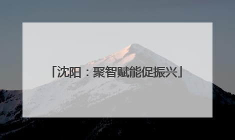 沈阳：聚智赋能促振兴
