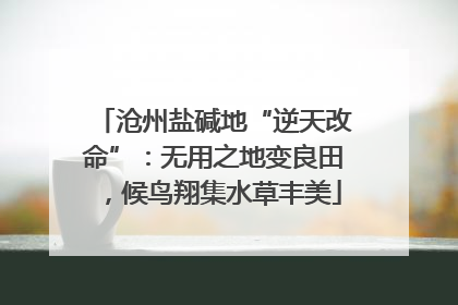 沧州盐碱地“逆天改命”：无用之地变良田，候鸟翔集水草丰美