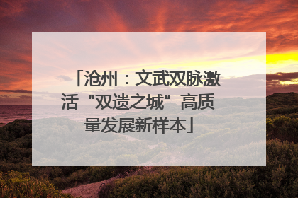 沧州：文武双脉激活“双遗之城”高质量发展新样本