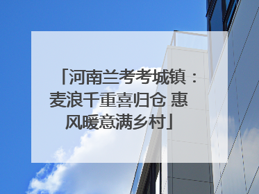 河南兰考考城镇：麦浪千重喜归仓 惠风暖意满乡村