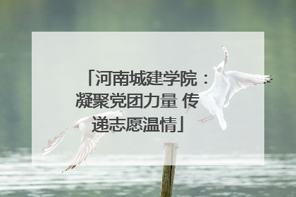 河南城建学院：凝聚党团力量 传递志愿温情
