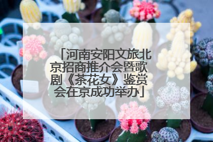 河南安阳文旅北京招商推介会暨歌剧《茶花女》鉴赏会在京成功举办